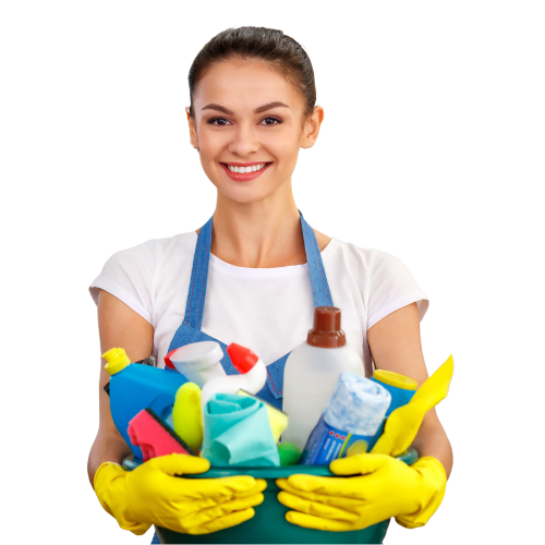 Professional Cleaning